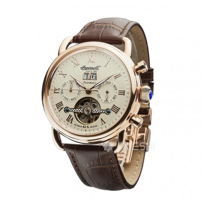 Ingersoll Ӣ(gu)ӢԄ(dng)C(j)еʿֱIN8210RG ...