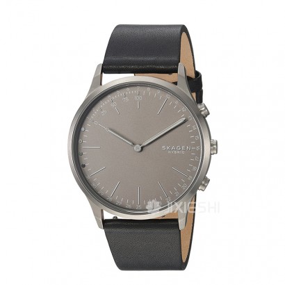 SKAGEN DENMARK Ԋ(sh)ʯӢʿֱSKT1203 Ȿԭ
