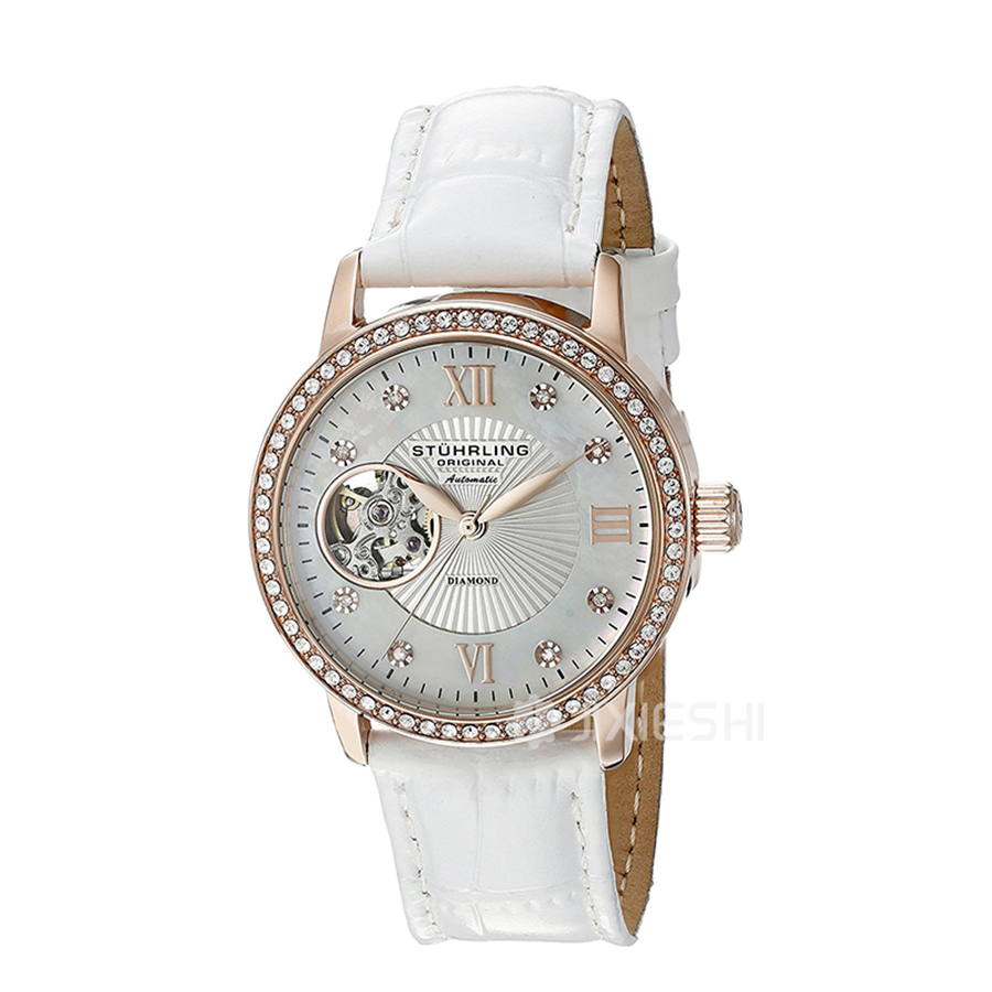STUHRLING ʿʩDԄәC(j)еŮʿֱ710.03 Ȿԭ