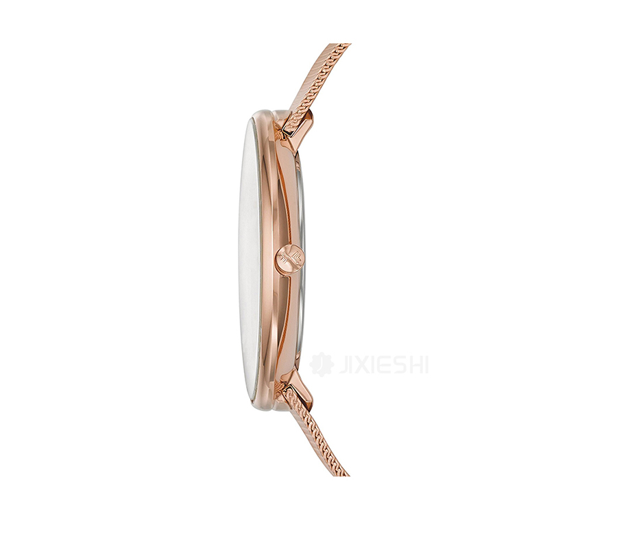 SKAGEN DENMARK Ԋ(sh)ʯӢŮʿֱSKW2142 Ȿԭ