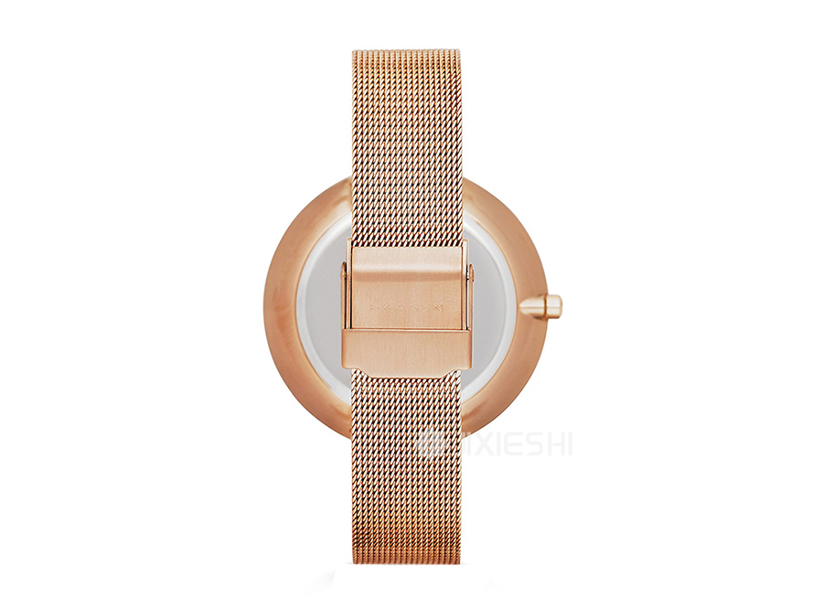 SKAGEN DENMARK Ԋ(sh)ʯӢŮʿֱSKW2142 Ȿԭ