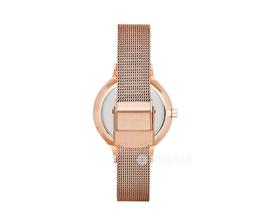 SKAGEN DENMARK Ԋ(sh)ʯӢŮʿֱSKW2151 Ȿԭ