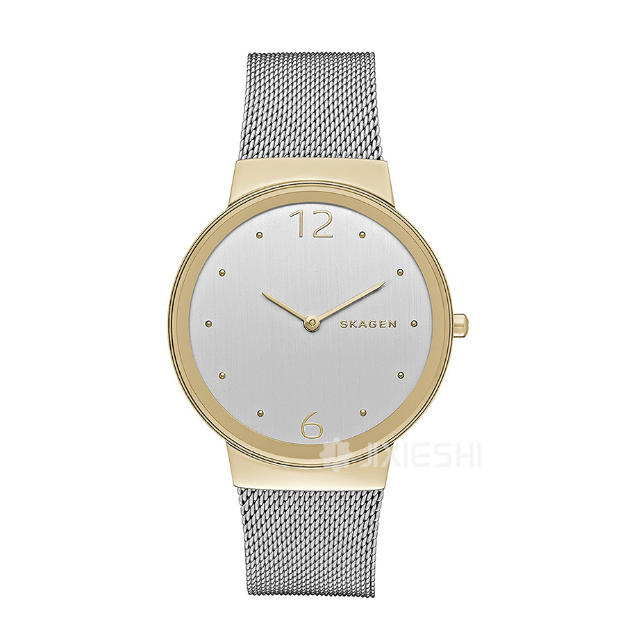 SKAGEN DENMARK ԊʯӢŮʿֱSKW2381 Ȿԭ