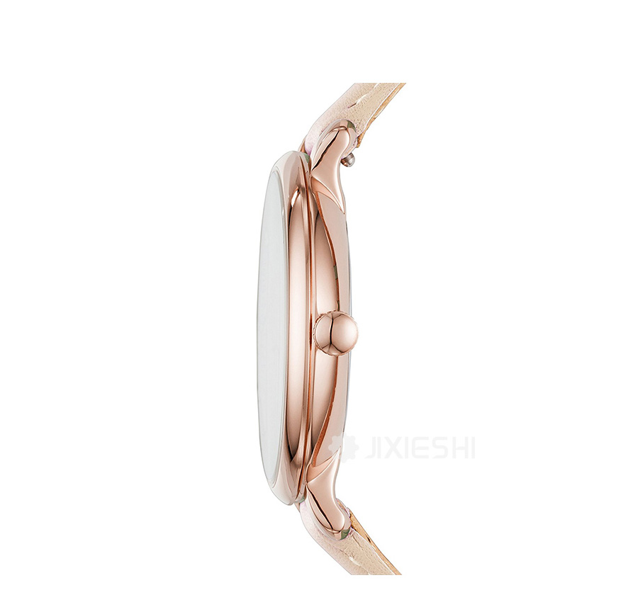 FOSSIL (gu)FOSSILʯӢŮʿֱES3988 Ȿԭ