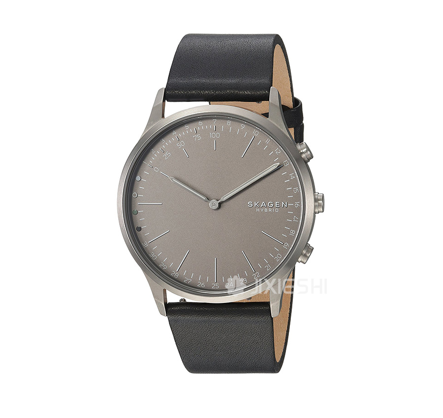 SKAGEN DENMARK Ԋ(sh)ʯӢʿֱSKT1203 Ȿԭ